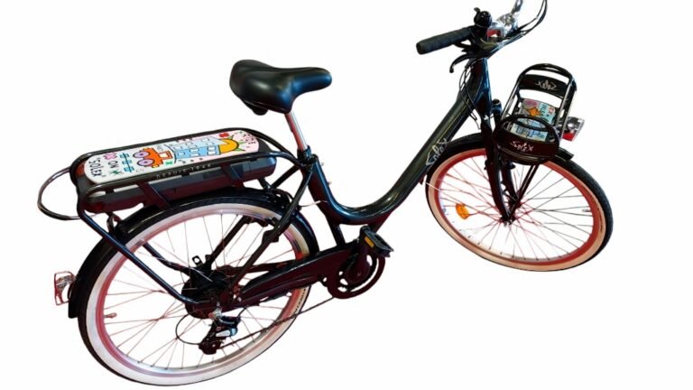 customisation d'un vélo solex